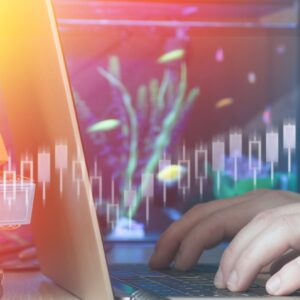 Emprendimiento, Comercio Electrónico, Exportación e Importación